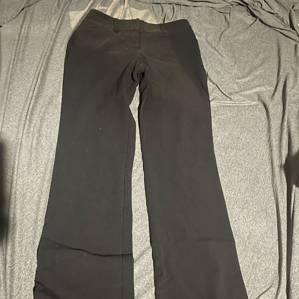 7th Ave Dress Pants